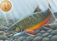Trout stamp