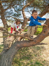kids in tree
