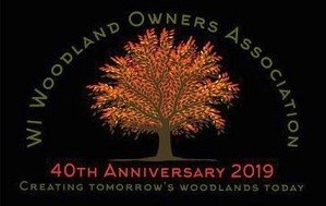 WWOA anniversary event logo