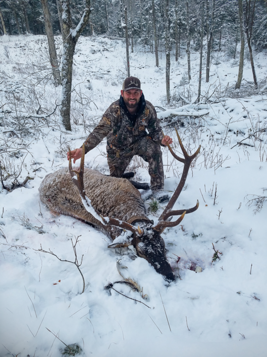 Successful Wisconsin elk hunt 2018