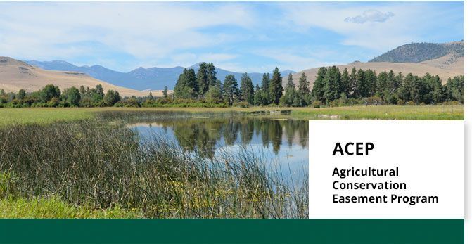 USDA ACEP Wetland Program