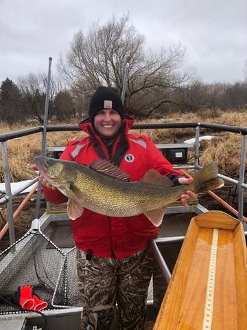 Katie Renschen, DNR fisheries adv. technician, holding a walleye caught on the Menominee River in 2018.