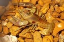 Rusty Crayfish