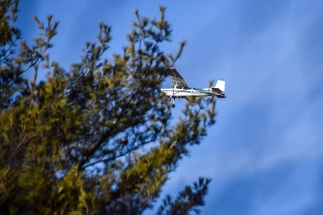 Small airplane flying low over trees.