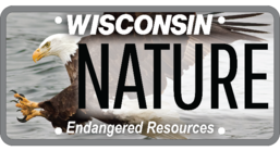 Wisconsin license plate with bald eagle image and text saying "NATURE"