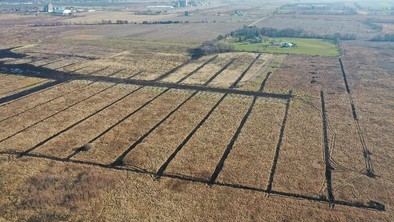 DNR Wetland Restoration