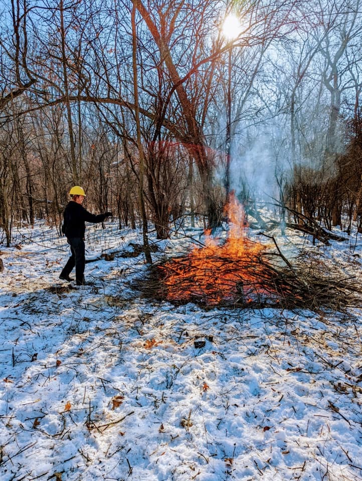 Brushpile