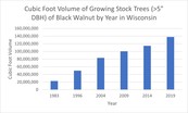 Black walnut volume in Wisconsin
