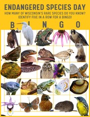 Endangered Species Animals Bingo Board