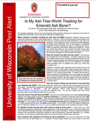 EAB factsheet