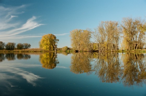 An image of Upper Pool 8, which is a part of the Mississippi River.