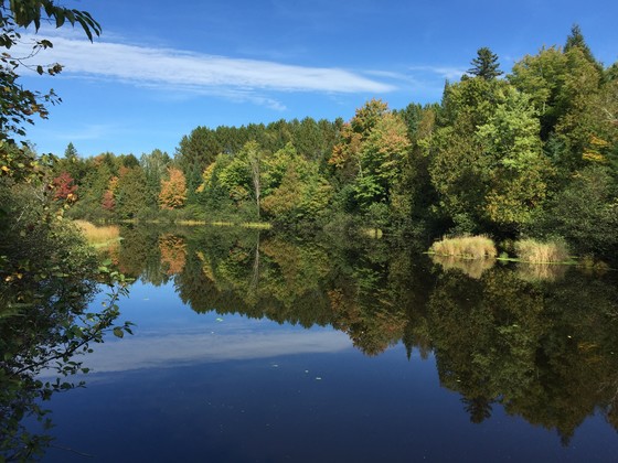 North Central Forest Ecological Landscape featuring a body of water with trees around it