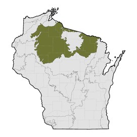 A map of Wisconsin highlighting the North Central Forest Region including portions of 20 counties.