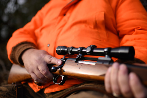 An up-close image of a person wearing blaze orange, holding a hunting rifle.