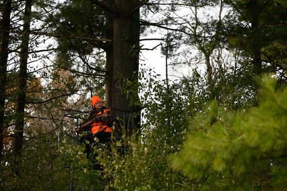 woman wearing blaze orange sitting in tree stand in the woods