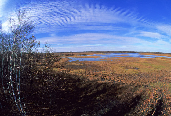 Sandhill Wildlife Area