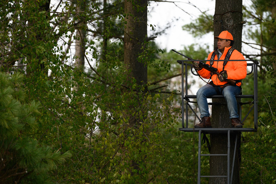 Hunter wearing blaze orange in a tree