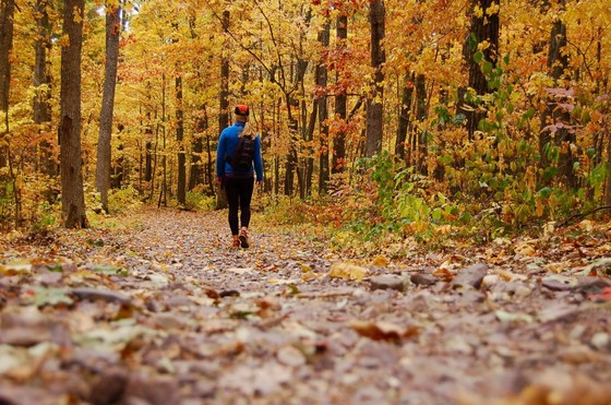 woman Walking through fall colors at Devil's Lake State Park 