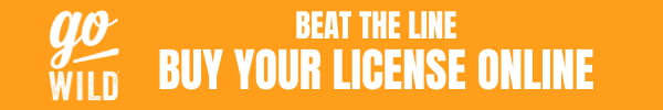 Button that reads: Beat The Line - Buy Your License Online