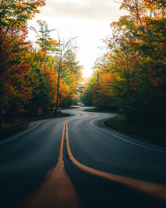 The Winding Road in Door County