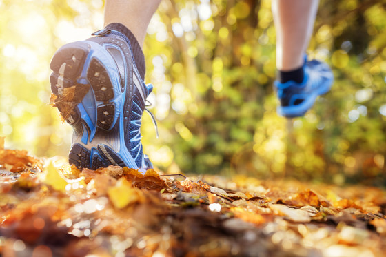 close-up of running shoe of runner on leafy path