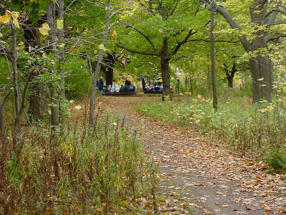 Trail in Havenwoods State Forest