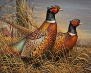 painting of two rooster pheasants in a farmland scene