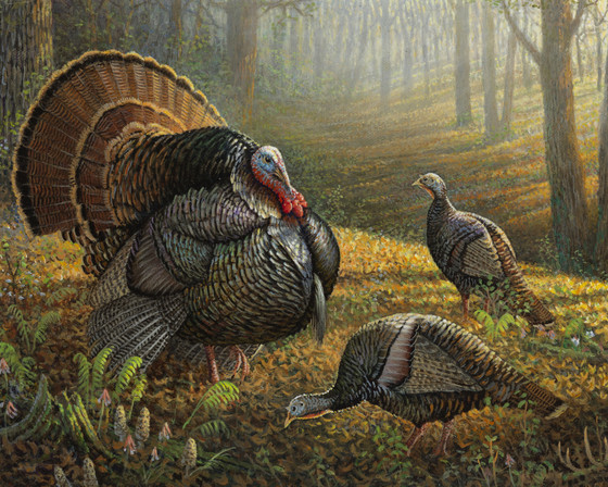 painting of tom turkey strutting before two females