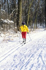 A person cross country skiing in the woods