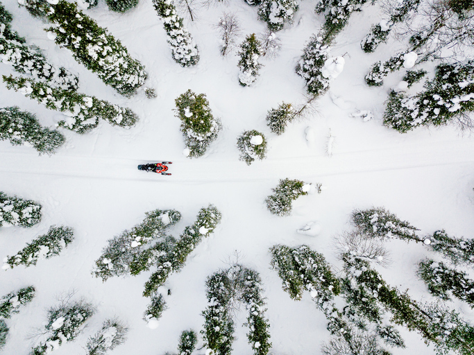 aerial image of snowmobile driving through forest