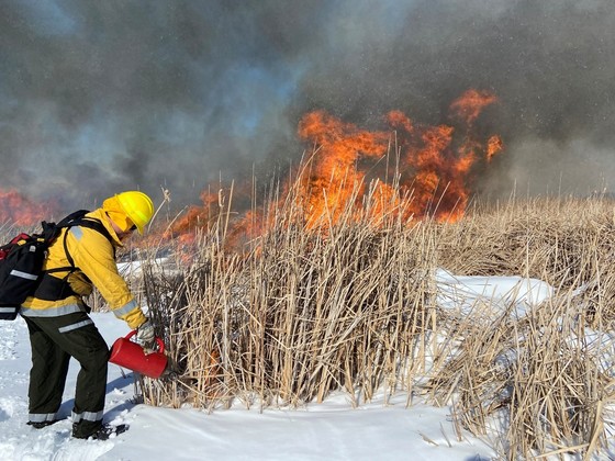 man wearing fire gear performing prescribed burn