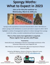 A flyer for an upcoming webinar about spongy moth management that will take place virtually at 6pm on March 8, 2023.