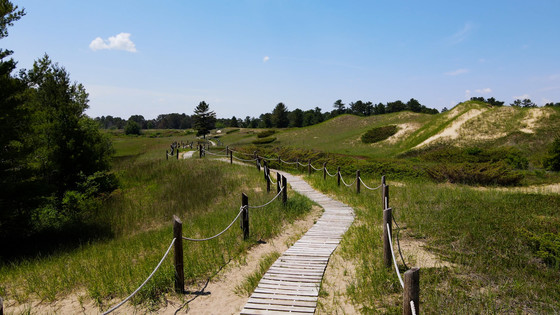 A view down the cordwalk at Kohler-Andrae State Park.