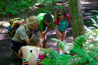 Park ranger shows group of kids plants along forest trail