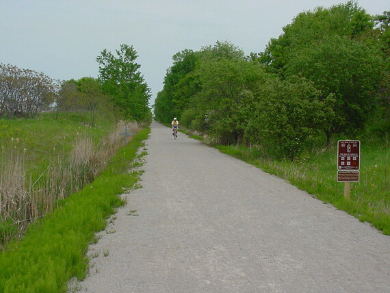 Biker on gravel trail bordered by trees