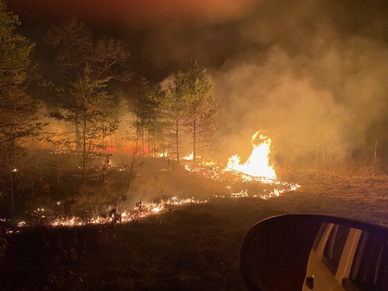 A nighttime image of the Arcadia Wildfire.