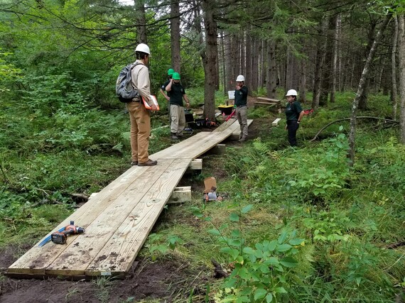 People constructing a trail in a forest