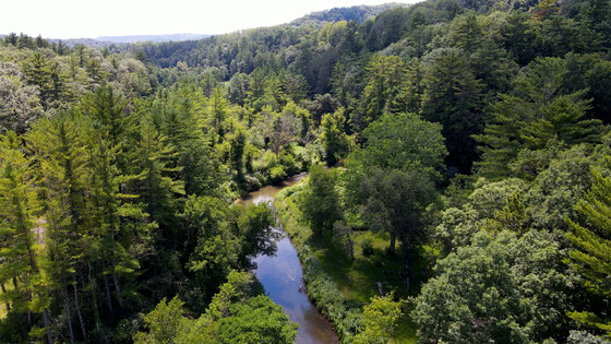 A photo shot from a drone at Wildcat Mountain showing green foliage and a river flowing.