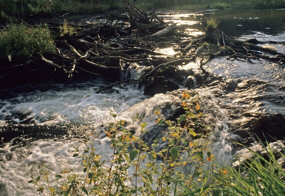 A photo of water rushing downstream in the Tomorrow River.
