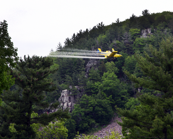 a yellow plane flying over a green forest