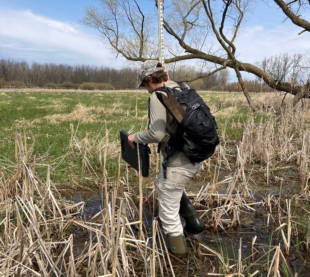 a researcher in a swampy area taking measurements