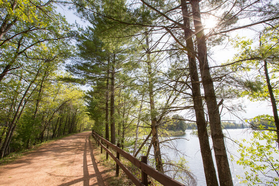 a sunny view from Bearskin Trail