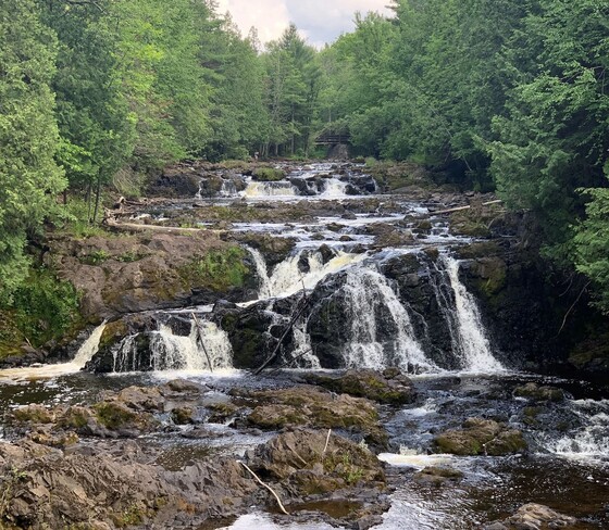 copper falls with a green forest