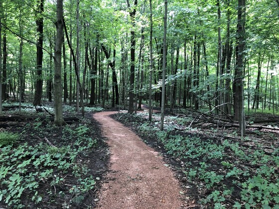 accessible trail within Forest Exploration Center in Milwaukee