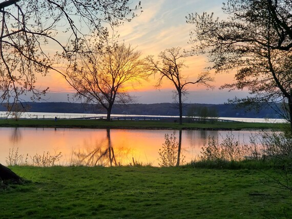 Sunset over a lagoon with grass in foreground and lake and trees in the distance