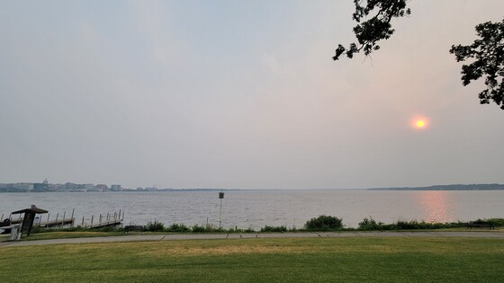 hazy sky above olin park in madison