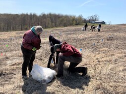 Preliminary Seedling Availability For Spring 2024 Planting