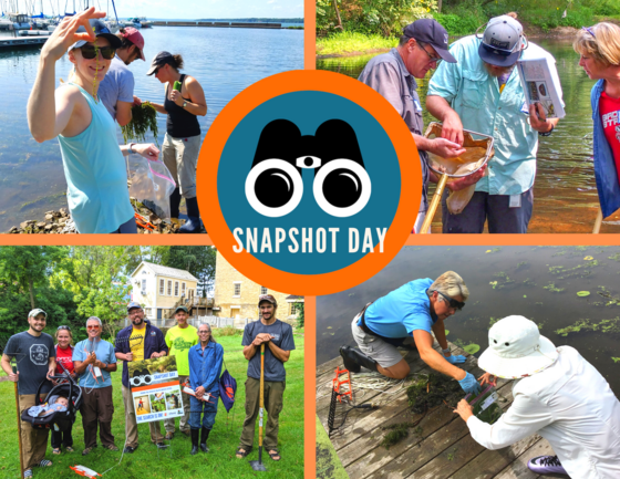 collage of 4 images showing people collecting aquatic invasive species