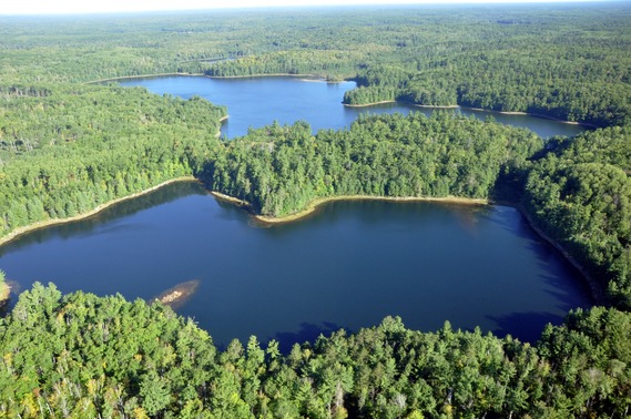 Aerial view of lakes set in a forest