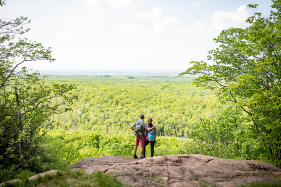 a couple stopping to overlook a green forest on a sunny day